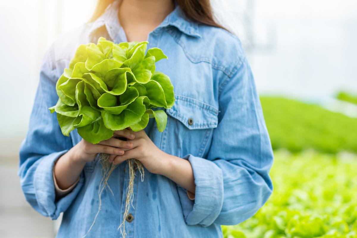 Woman Holding Fresh Lettuce 